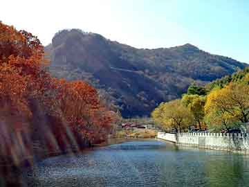 正版澳门天天开彩大全，水润活化制水器